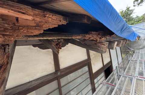 ②長年の雨漏りによる木下地の腐食を確認