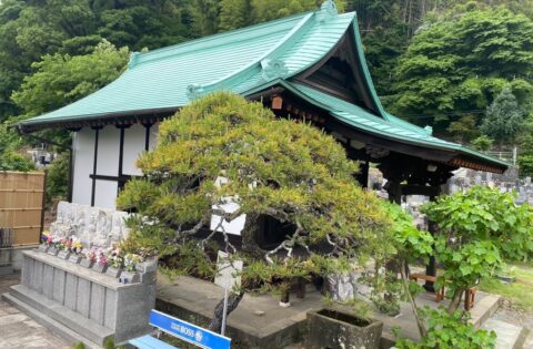 ⑲改修工事後