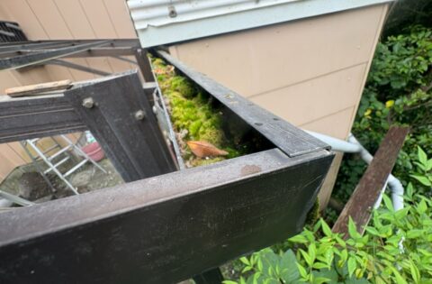 ⑩既存屋根の解体（樋の詰まりを確認）