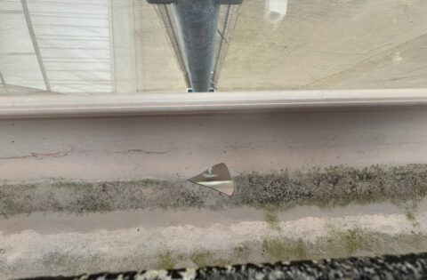 ①雹による穴を確認