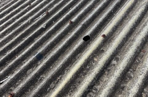 ①雹災により無数穴があいている事を確認