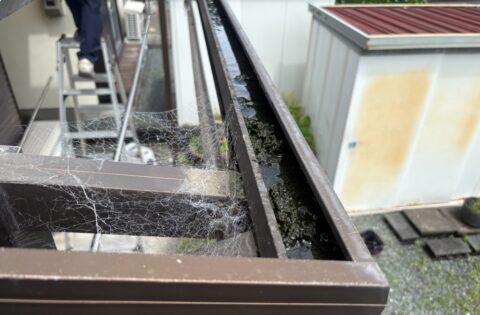 ⑤既存屋根解体後の樋内状況