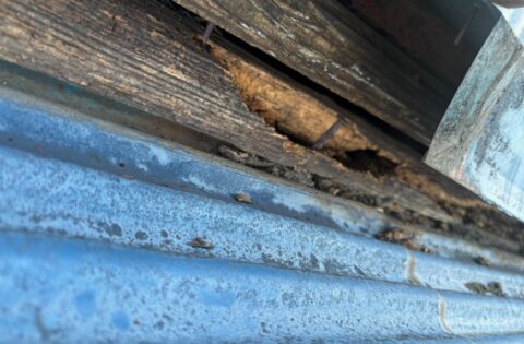 ④経年劣化の確認